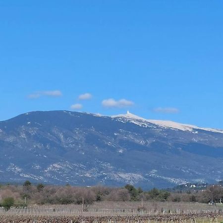Vila Mon Ventoux Modene Exteriér fotografie